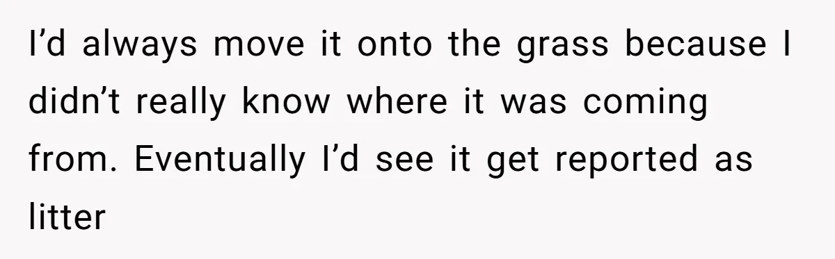 From Sidewalk Junk to Yard Gold: How One Neighbor Finally Won the Long-Running Toy War I’d always move it onto the grass because I didn’t really know where it was coming from. Eventually I’d see it get reported as litter