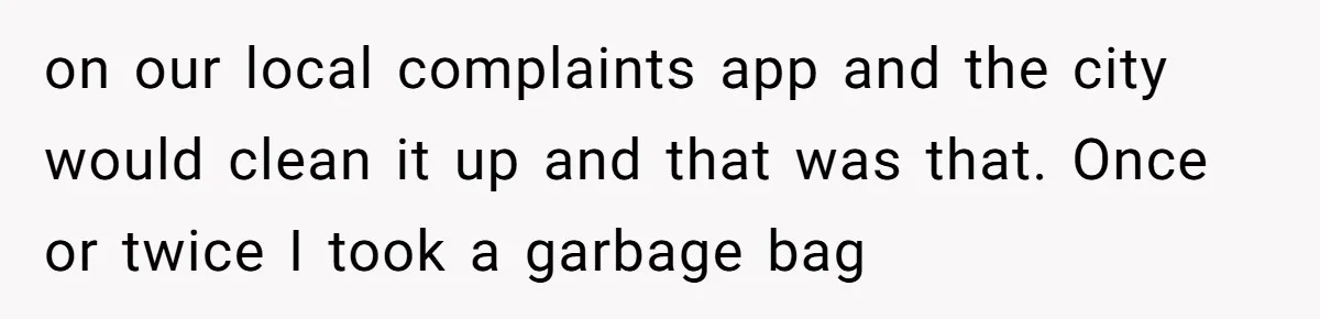 From Sidewalk Junk to Yard Gold: How One Neighbor Finally Won the Long-Running Toy War on our local complaints app and the city would clean it up and that was that. Once or twice I took a garbage bag