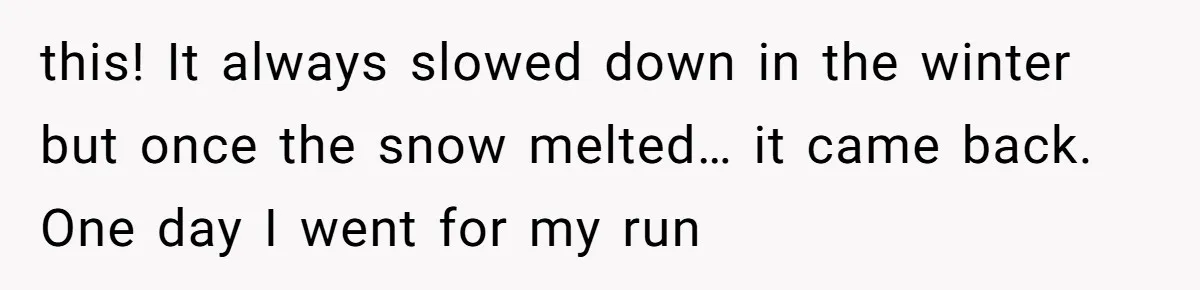From Sidewalk Junk to Yard Gold: How One Neighbor Finally Won the Long-Running Toy War this! It always slowed down in the winter but once the snow melted… it came back. One day I went for my run