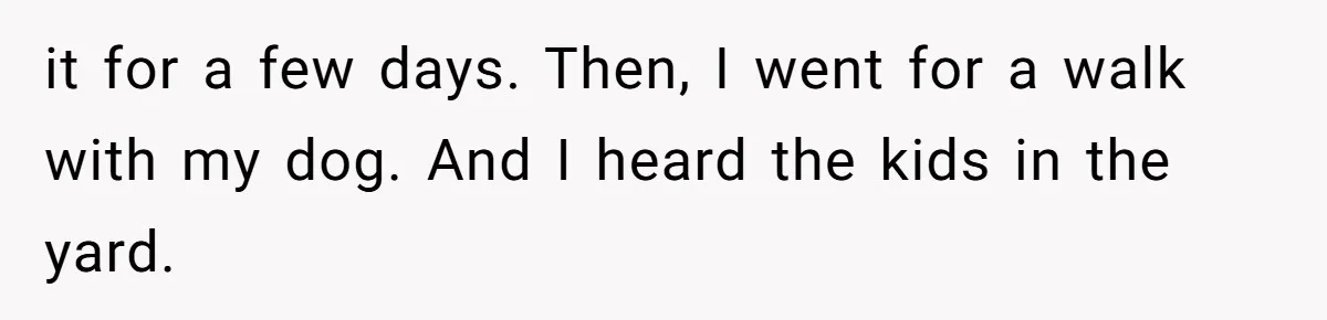From Sidewalk Junk to Yard Gold: How One Neighbor Finally Won the Long-Running Toy War it for a few days. Then, I went for a walk with my dog. And I heard the kids in the yard.