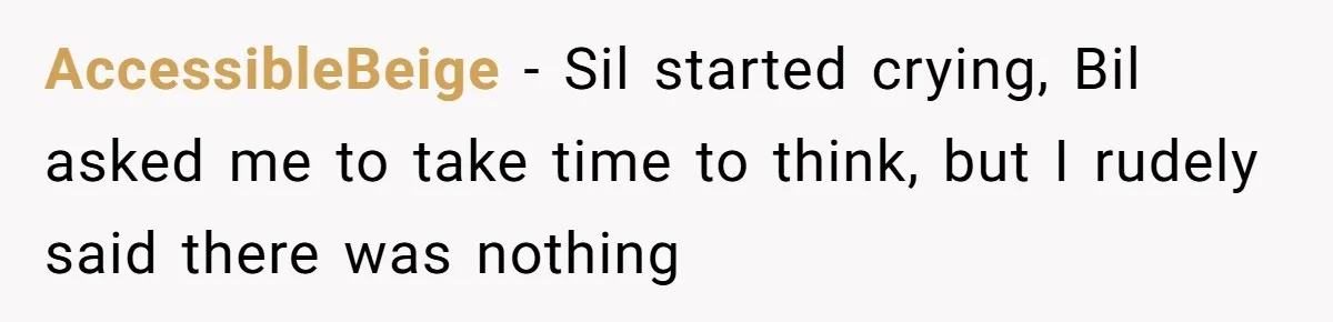 AccessibleBeige − Sil started crying, Bil asked me to take time to think, but I rudely said there was nothing
