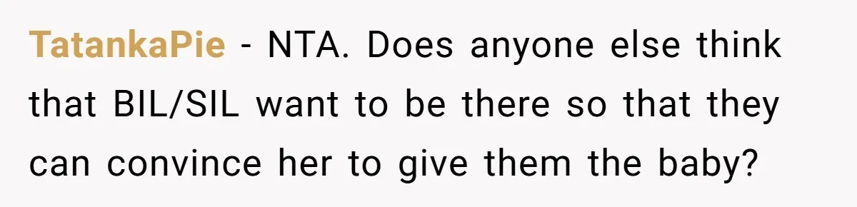TatankaPie − NTA. Does anyone else think that BIL/SIL want to be there so that they can convince her to give them the baby?