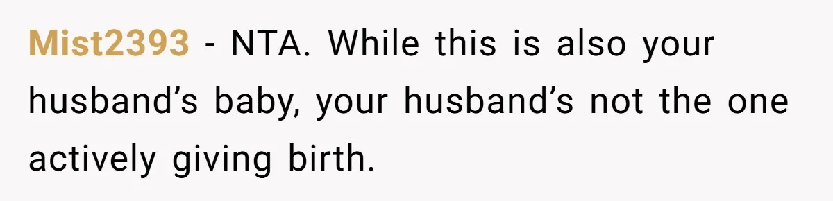 Mist2393 − NTA. While this is also your husband’s baby, your husband’s not the one actively giving birth.