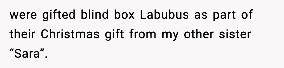 were gifted blind box Labubus as part of their Christmas gift from my other sister “Sara”.