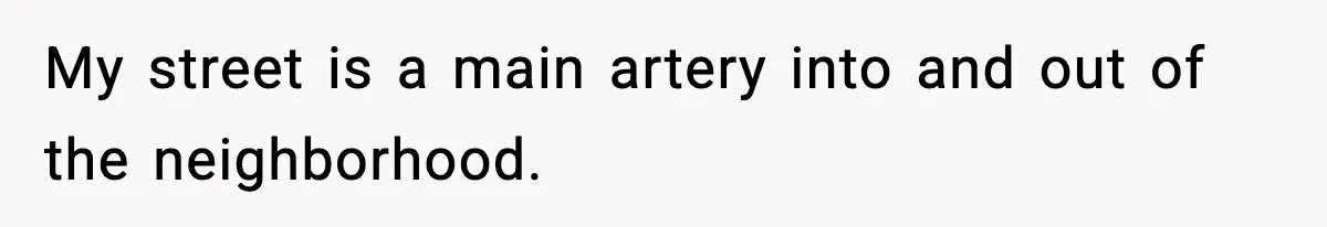 My street is a main artery into and out of the neighborhood.