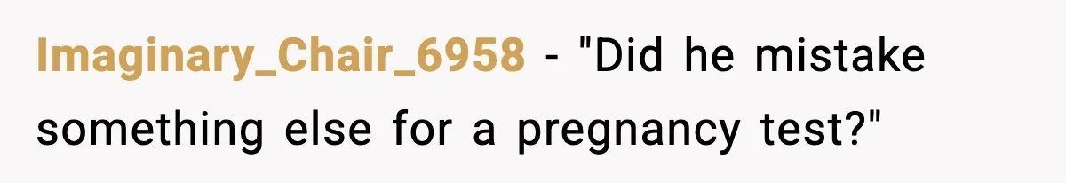 Imaginary_Chair_6958 - "Did he mistake something else for a pregnancy test?"