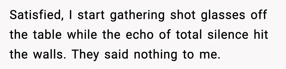 Satisfied, I start gathering shot glasses off the table while the echo of total silence hit the walls. They said nothing to me.