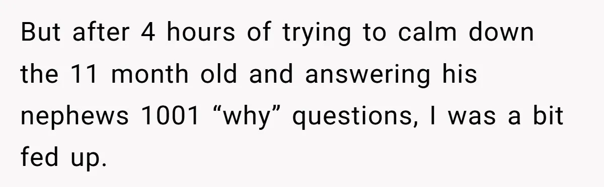 But after 4 hours of trying to calm down the 11 month old and answering his nephews 1001 “why” questions, I was a bit fed up.