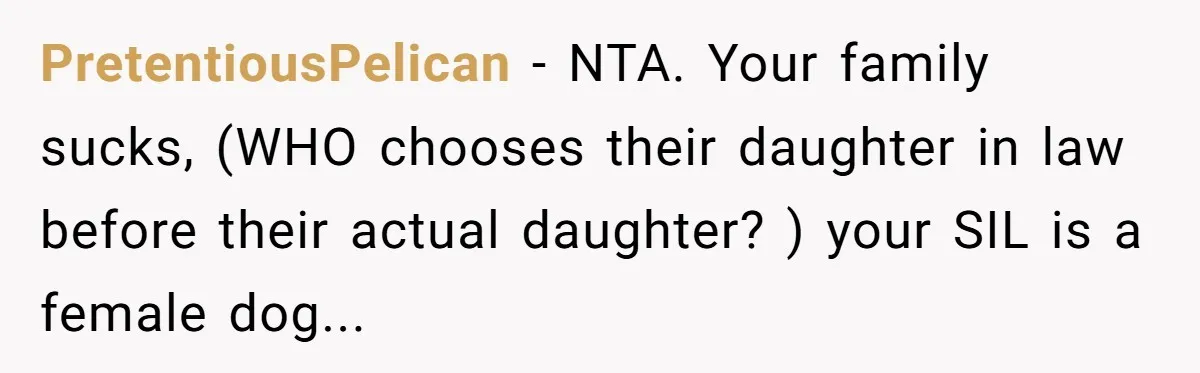 A Woman Decides Not to Invite Her Brother’s Wife After Years of Heartbreaking Treatment PretentiousPelican − NTA. Your family sucks, (WHO chooses their daughter in law before their actual daughter? ) your SIL is a female dog...