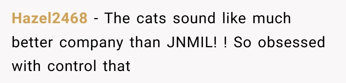 Hazel2468 − The cats sound like much better company than JNMIL! ! So obsessed with control that