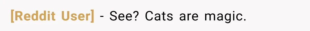 [Reddit User] − See? Cats are magic.