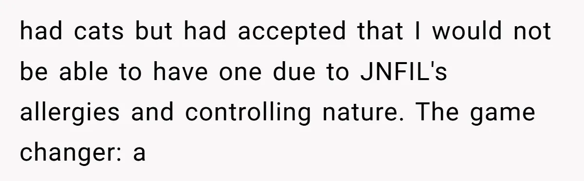 had cats but had accepted that I would not be able to have one due to JNFIL's allergies and controlling nature. The game changer: a