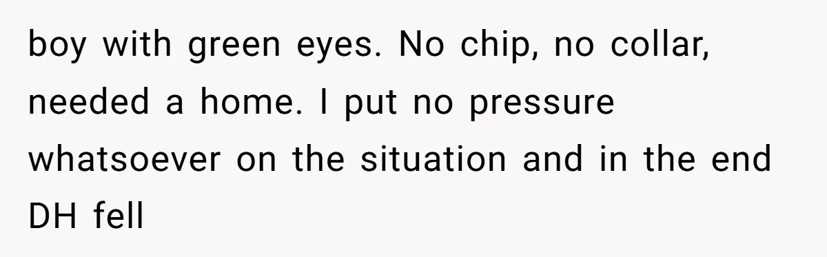 boy with green eyes. No chip, no collar, needed a home. I put no pressure whatsoever on the situation and in the end DH fell