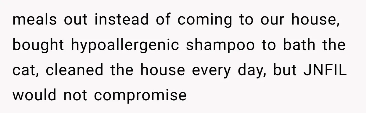 meals out instead of coming to our house, bought hypoallergenic shampoo to bath the cat, cleaned the house every day, but JNFIL would not compromise