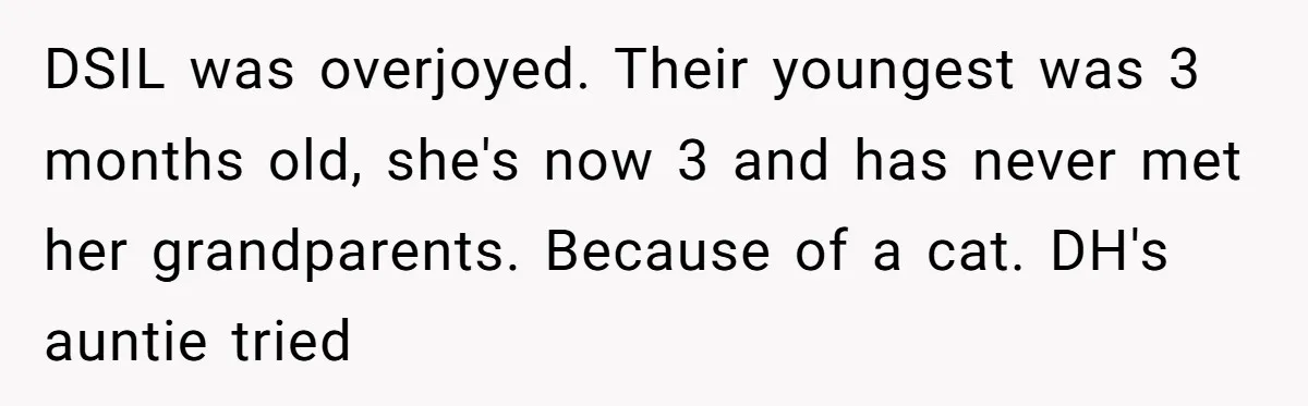 DSIL was overjoyed. Their youngest was 3 months old, she's now 3 and has never met her grandparents. Because of a cat. DH's auntie tried