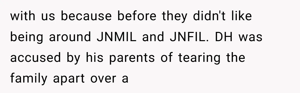 with us because before they didn't like being around JNMIL and JNFIL. DH was accused by his parents of tearing the family apart over a