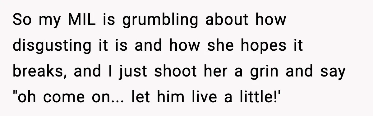 Grandma Loved Sweets, Hated Farts, Guess What She Got So my MIL is grumbling about how disgusting it is and how she hopes it breaks, and I just shoot her a grin and say "oh come on... let him...