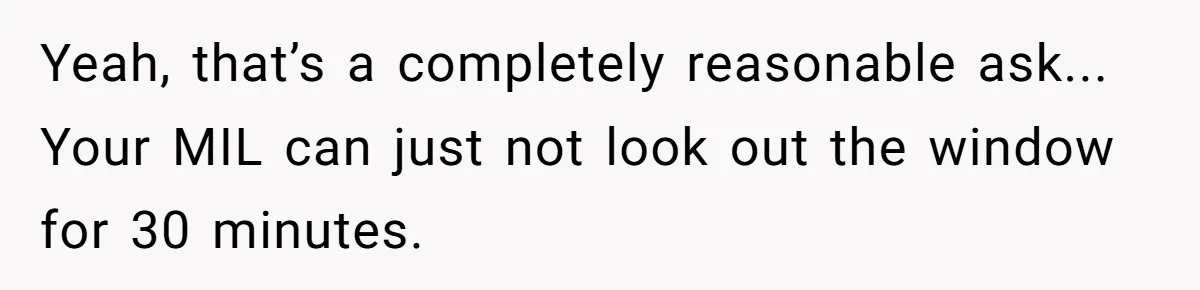 Yeah, that’s a completely reasonable ask... Your MIL can just not look out the window for 30 minutes.