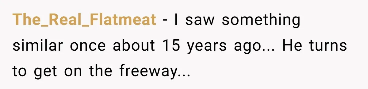 A Stubborn Customer Insisted on Using a TV Cable to Secure a Heavy Fridge The_Real_Flatmeat − I saw something similar once about 15 years ago... He turns to get on the freeway...