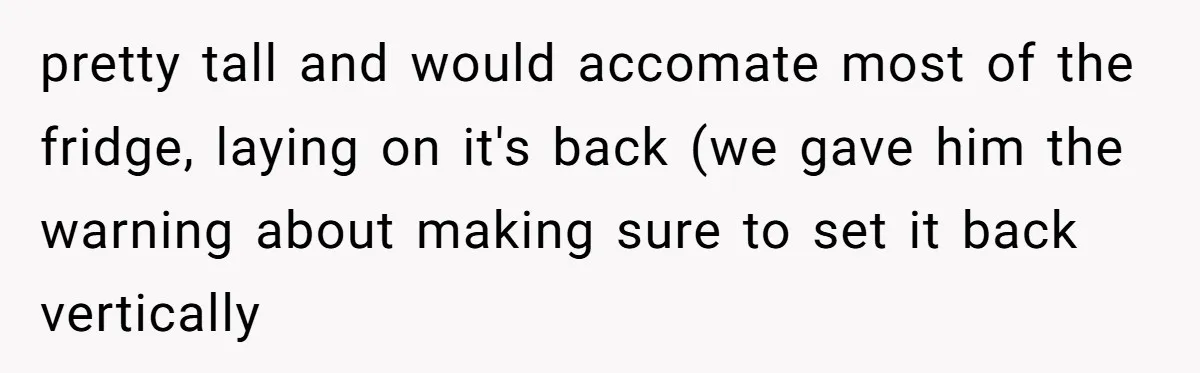 A Stubborn Customer Insisted on Using a TV Cable to Secure a Heavy Fridge pretty tall and would accomate most of the fridge, laying on it's back (we gave him the warning about making sure to set it back vertically