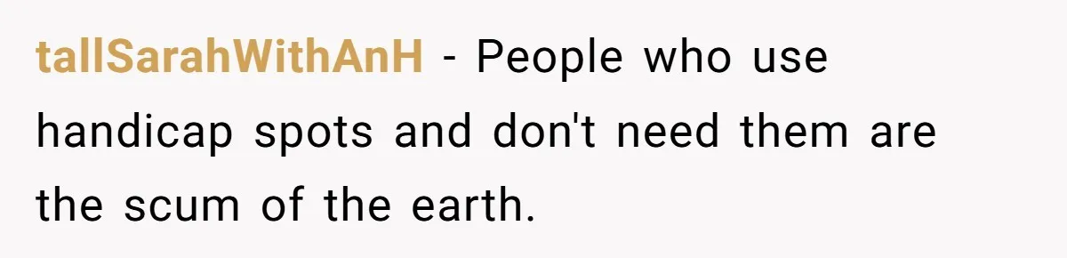 tallSarahWithAnH − People who use handicap spots and don't need them are the scum of the earth.