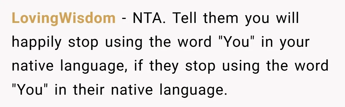 LovingWisdom − NTA. Tell them you will happily stop using the word "You" in your native language, if they stop using the word "You" in their native language.