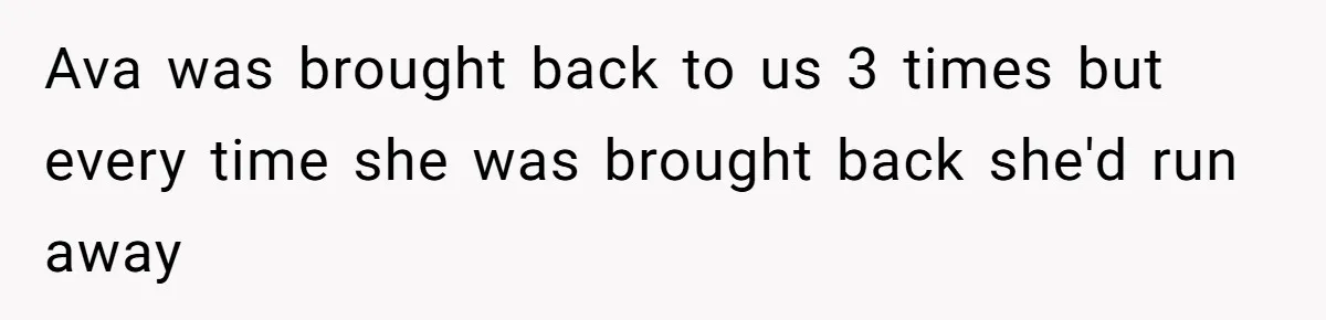 Ava was brought back to us 3 times but every time she was brought back she'd run away