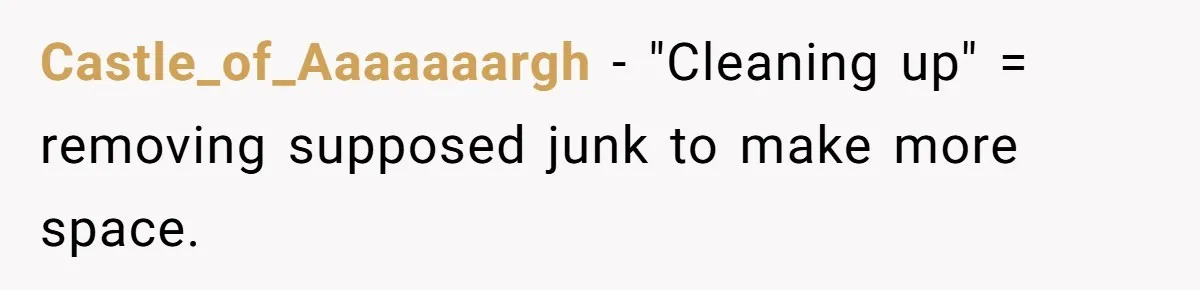 Castle_of_Aaaaaaargh − "Cleaning up" = removing supposed junk to make more space.