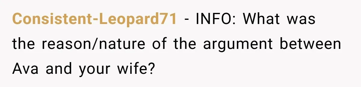 Consistent-Leopard71 − INFO: What was the reason/nature of the argument between Ava and your wife?
