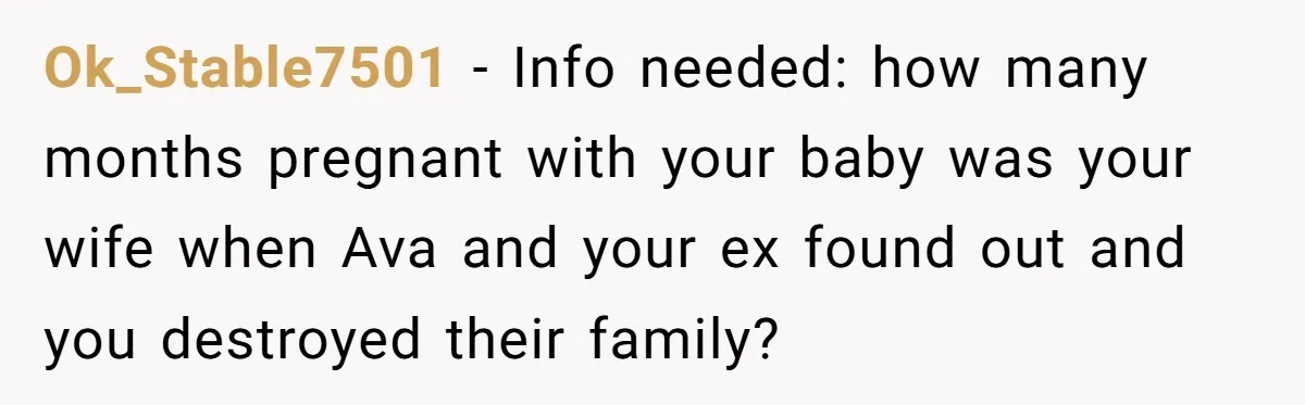 Ok_Stable7501 − Info needed: how many months pregnant with your baby was your wife when Ava and your ex found out and you destroyed their family?