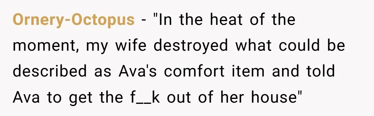 Ornery-Octopus − "In the heat of the moment, my wife destroyed what could be described as Ava's comfort item and told Ava to get the f__k out of her house"