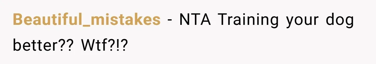 Beautiful_mistakes − NTA Training your dog better?? Wtf?!?