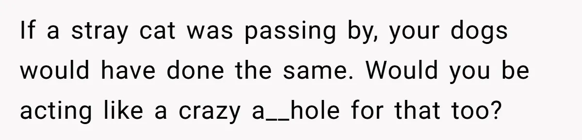 If a stray cat was passing by, your dogs would have done the same. Would you be acting like a crazy a__hole for that too?
