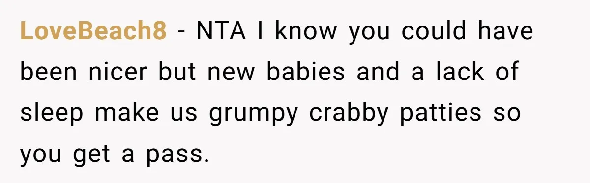 LoveBeach8 − NTA I know you could have been nicer but new babies and a lack of sleep make us grumpy crabby patties so you get a pass.