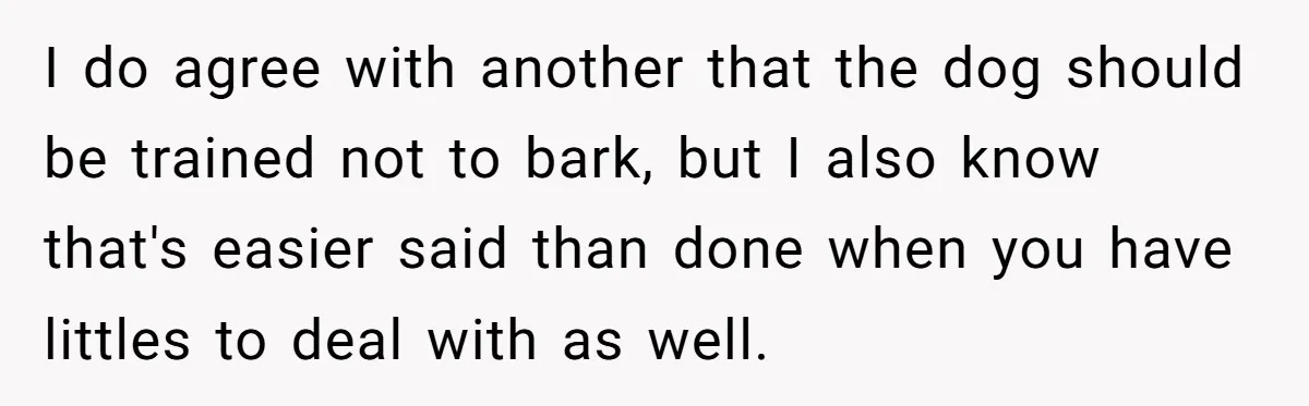 I do agree with another that the dog should be trained not to bark, but I also know that's easier said than done when you have littles to deal with...