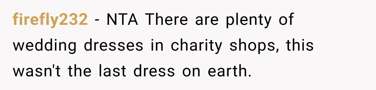 firefly232 − NTA There are plenty of wedding dresses in charity shops, this wasn't the last dress on earth.
