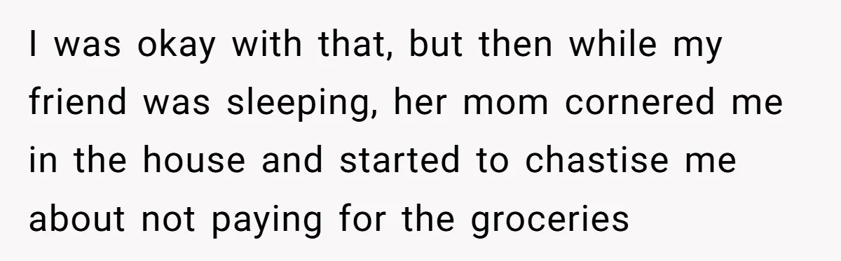 I was okay with that, but then while my friend was sleeping, her mom cornered me in the house and started to chastise me about not paying for the groceries