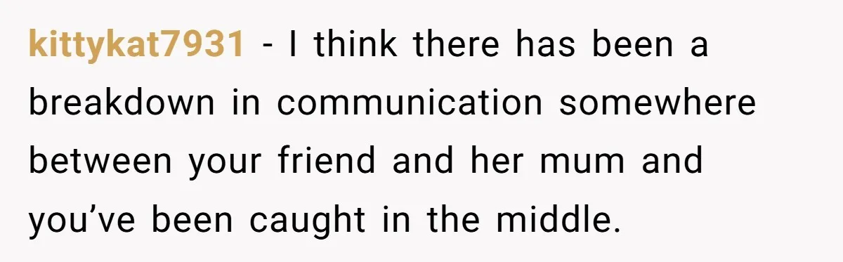 kittykat7931 − I think there has been a breakdown in communication somewhere between your friend and her mum and you’ve been caught in the middle.