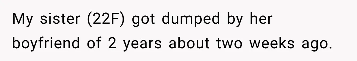 My sister (22F) got dumped by her boyfriend of 2 years about two weeks ago.