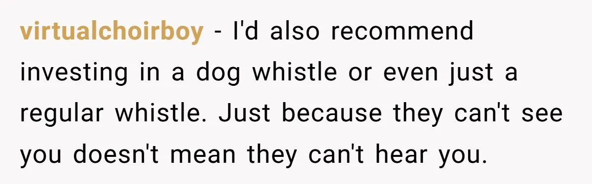 virtualchoirboy − I'd also recommend investing in a dog whistle or even just a regular whistle. Just because they can't see you doesn't mean they can't hear you.