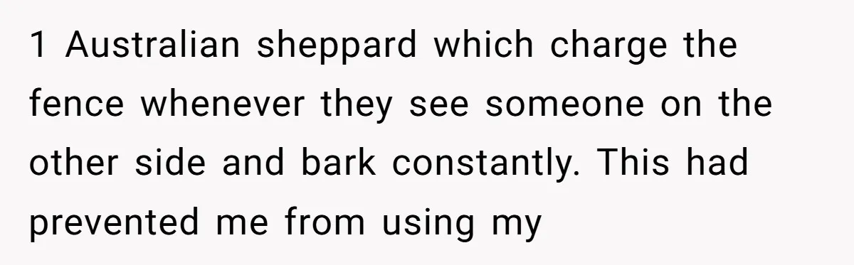 1 Australian sheppard which charge the fence whenever they see someone on the other side and bark constantly. This had prevented me from using my