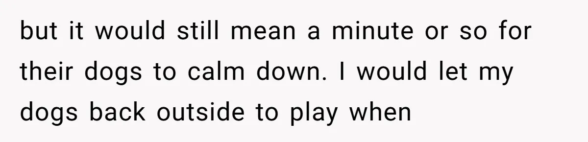 but it would still mean a minute or so for their dogs to calm down. I would let my dogs back outside to play when
