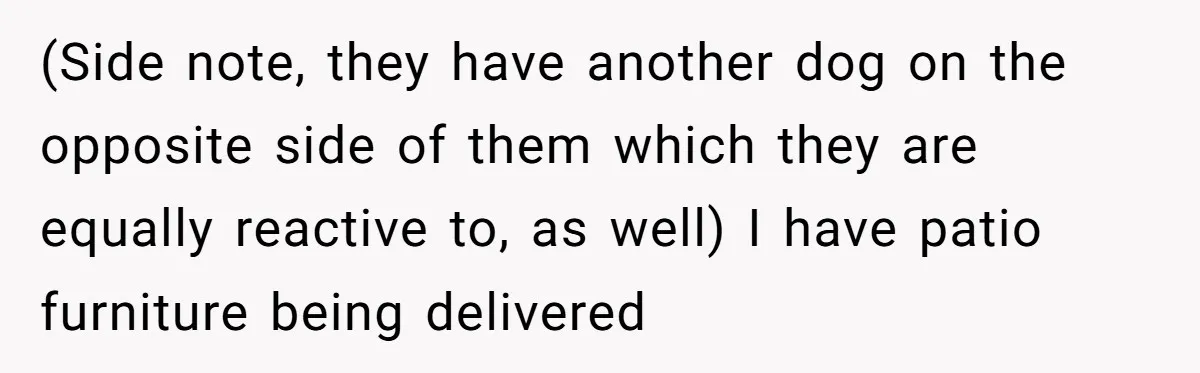 (Side note, they have another dog on the opposite side of them which they are equally reactive to, as well) I have patio furniture being delivered