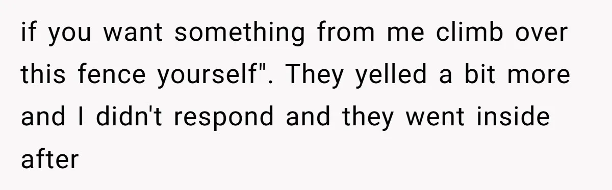 if you want something from me climb over this fence yourself". They yelled a bit more and I didn't respond and they went inside after