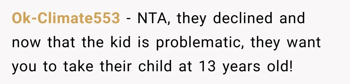 Ok-Climate553 − NTA, they declined and now that the kid is problematic, they want you to take their child at 13 years old!