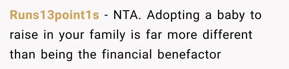 Runs13point1s − NTA. Adopting a baby to raise in your family is far more different than being the financial benefactor