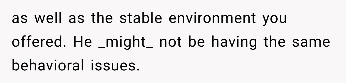 as well as the stable environment you offered. He _might_ not be having the same behavioral issues.