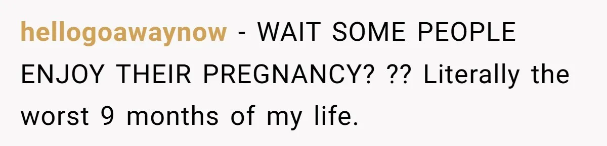 hellogoawaynow - WAIT SOME PEOPLE ENJOY THEIR PREGNANCY? ?? Literally the worst 9 months of my life.