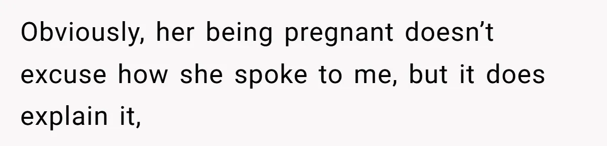 Obviously, her being pregnant doesn’t excuse how she spoke to me, but it does explain it,