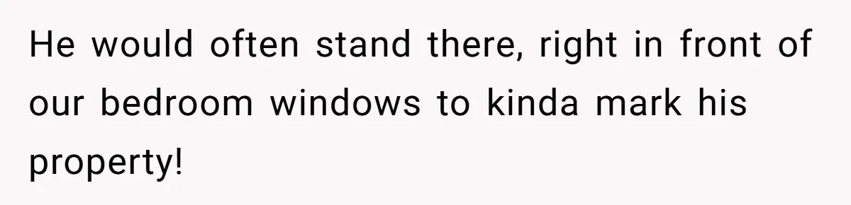 Annoying Neighbor Harassed Him Over Property Lines, So He Keeps His Neighbor Too Busy To Harass Him He would often stand there, right in front of our bedroom windows to kinda mark his property!